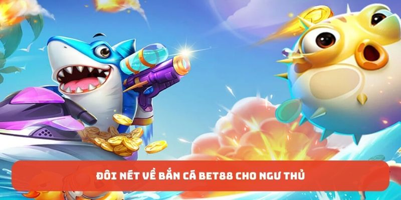 Tổng quan về sân chơi cho ngư thủ