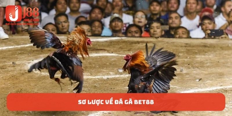 Đá gà Bet88 mang tới những trận đấu bắt mắt bậc nhất thị trường